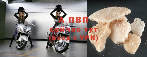 спайс Пересвет
