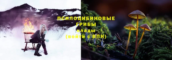 индика Осташков