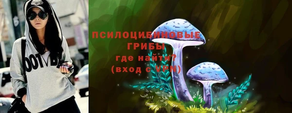бутират Переславль-Залесский