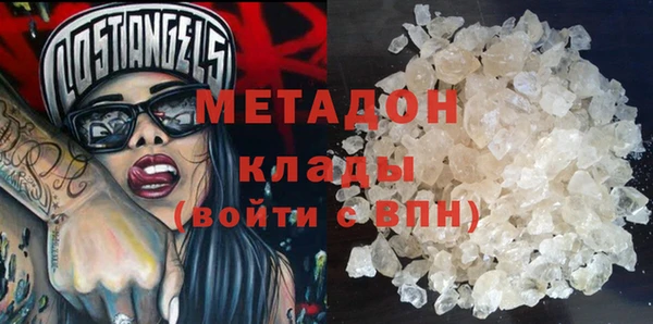 индика Пестово