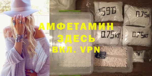 индика Пестово