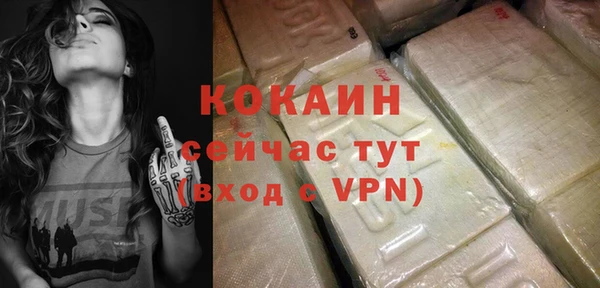 индика Пестово
