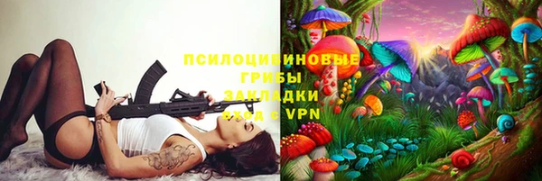 спайс Пересвет