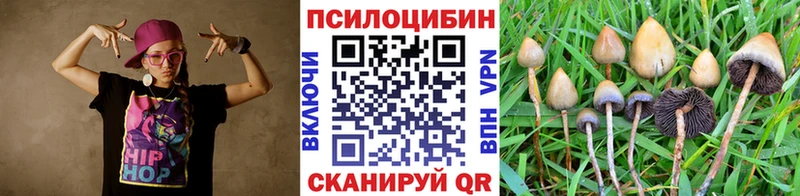Псилоцибиновые грибы GOLDEN TEACHER  KRAKEN ССЫЛКА  Кировград 